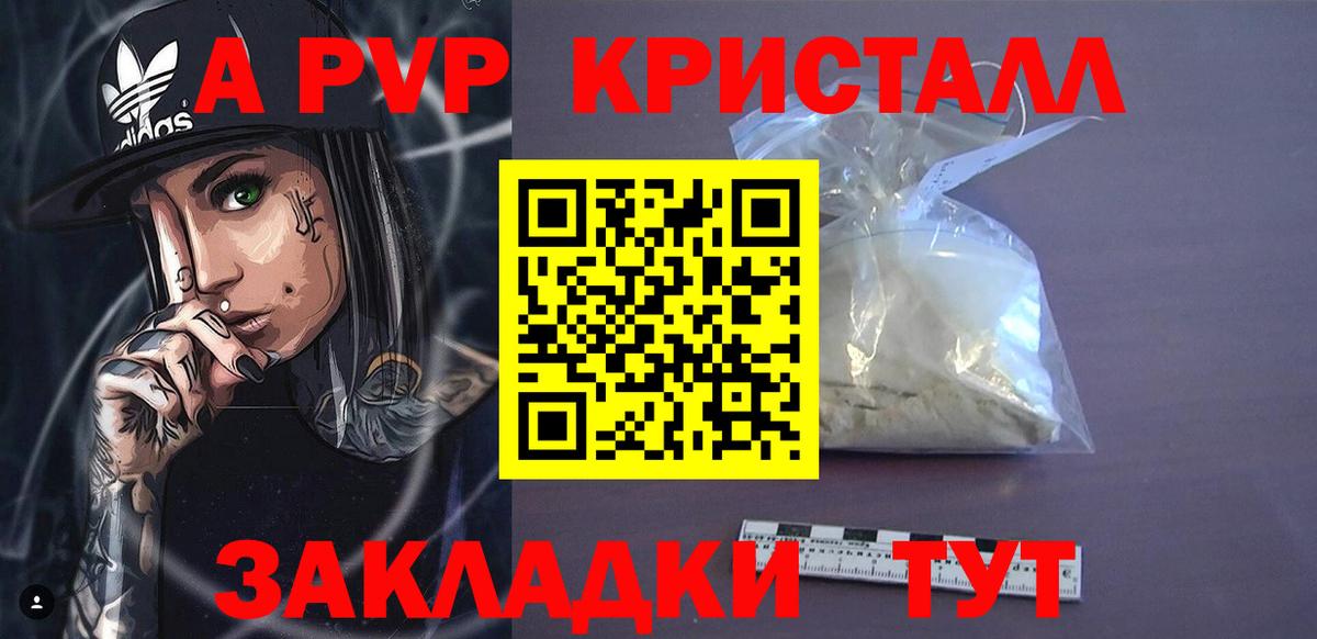 Альфа ПВП СК КРИС Кандалакша