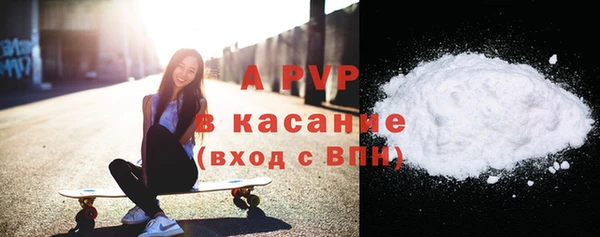 гашик Новозыбков
