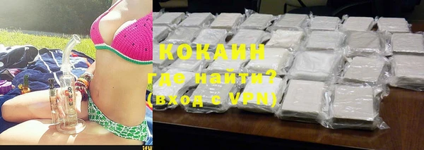гашик Новозыбков