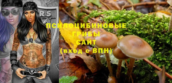 гашик Новозыбков