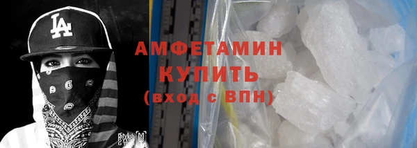 гашик Новозыбков