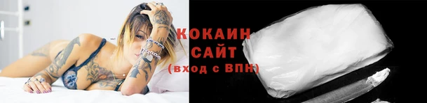 гашик Новозыбков