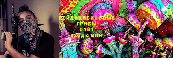 бошки Гусь-Хрустальный