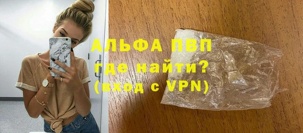 гашик Новозыбков