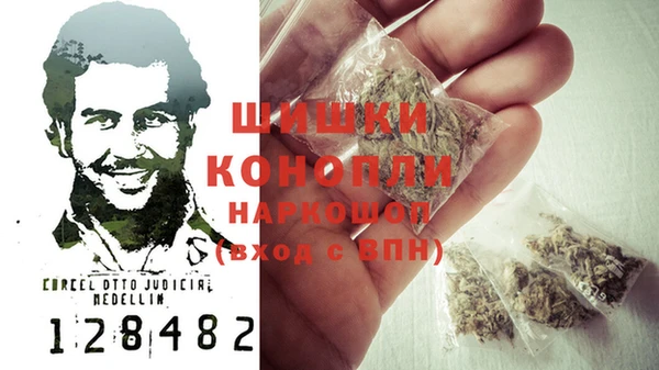 гашик Новозыбков
