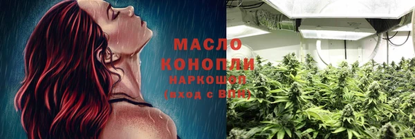 гашик Новозыбков