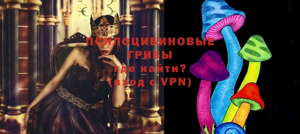 индика Вязники