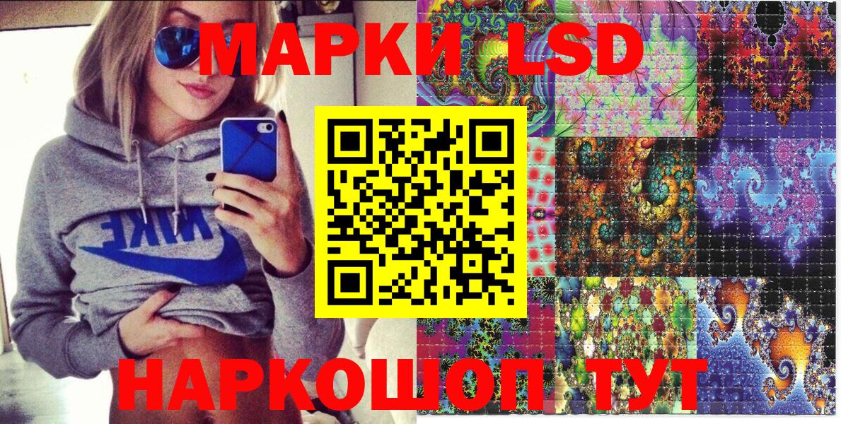 Бошки Шишки Кандалакша