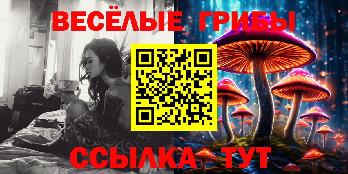 Галлюциногенные грибы мухоморы  Вход с VPN  цена   Кандалакша 